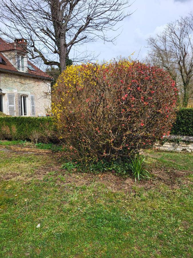 Chambre d’hôte pour 4 personnes, avec terrasse ainsi que jardin et vue à Escolives-Sainte-Camille - 3