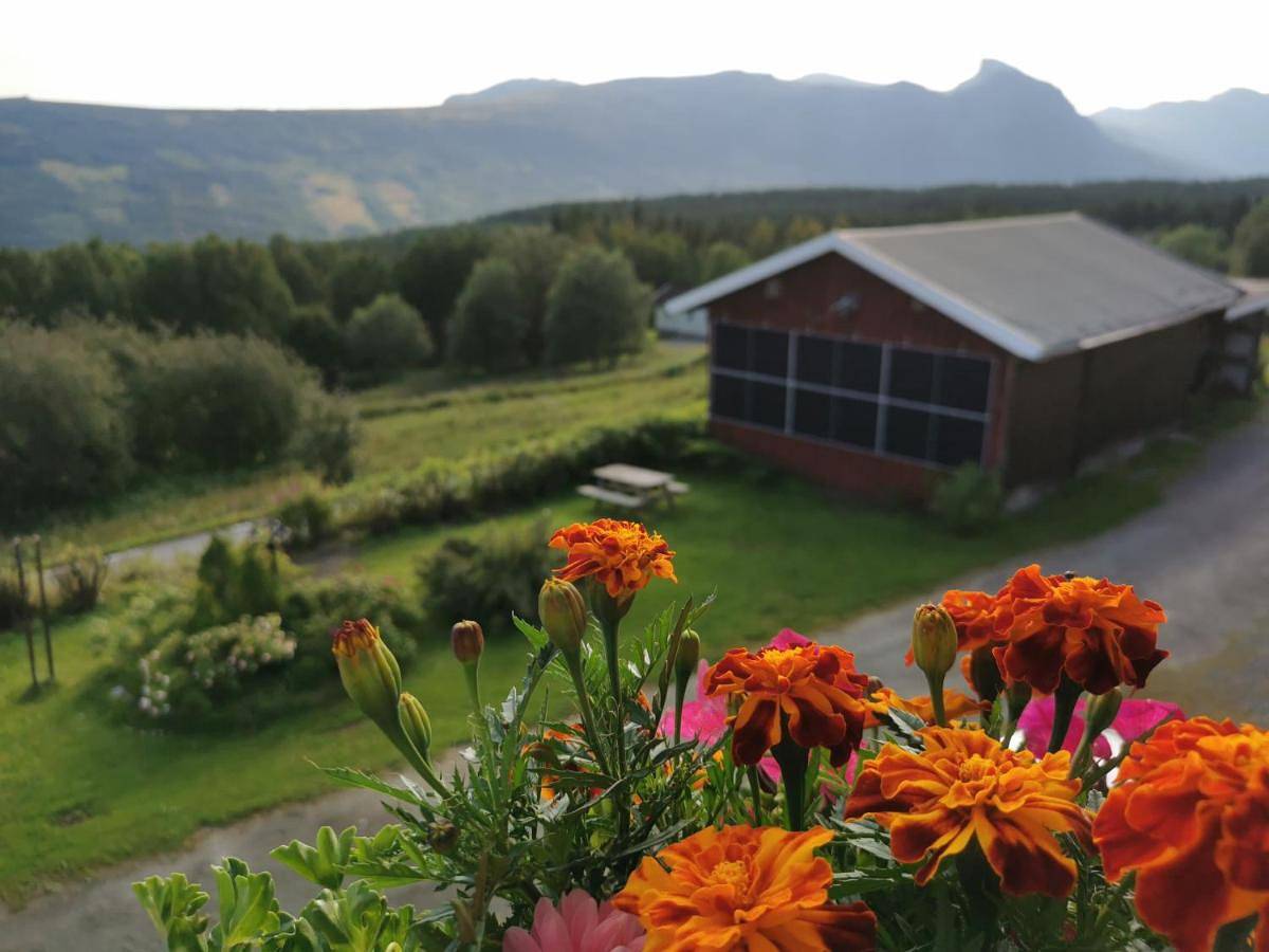 Double or Twin Room with Bathroom in Hemsedal (gemeente)