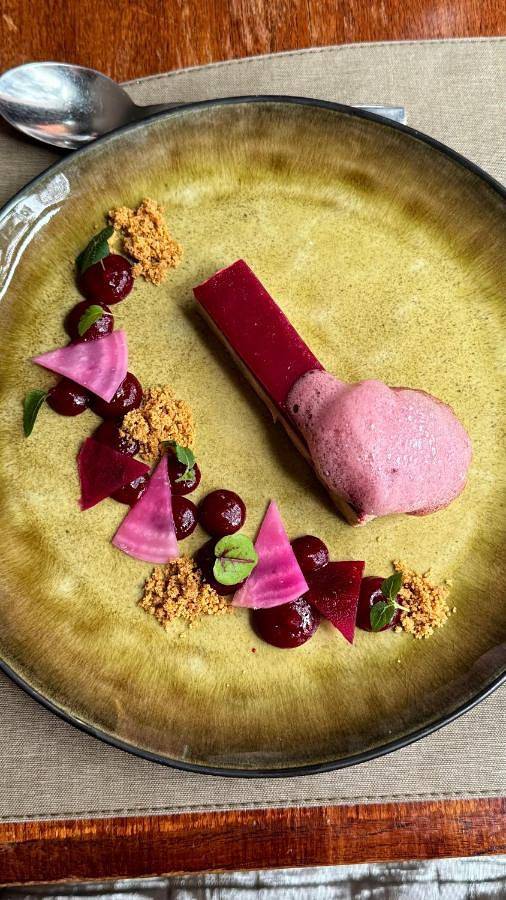 Hôtel pour 2 personnes, avec jardin et piscine ainsi que jacuzzi et sauna, animaux acceptés à Castries - 2