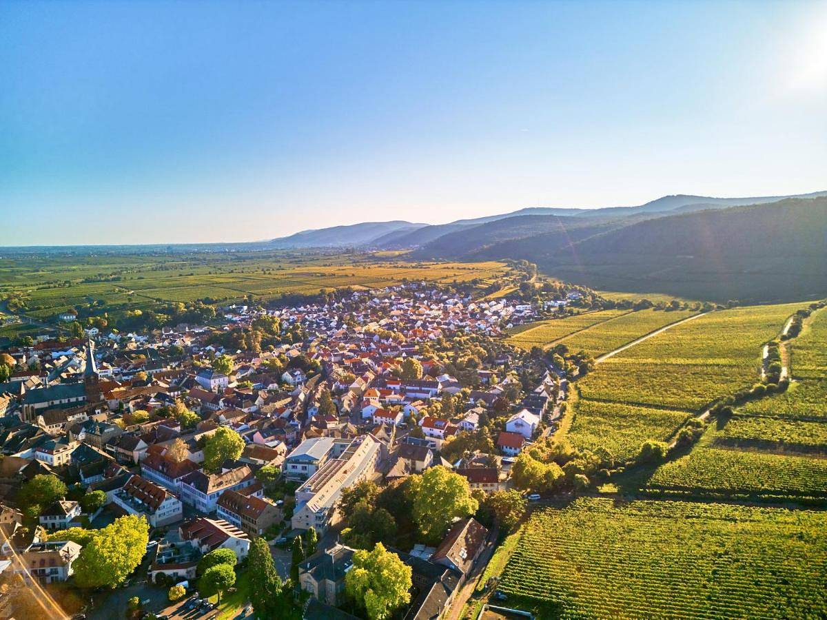 Kaisergarten Hotel Deidesheim in Deidesheim, Pfälzer Rheinebene