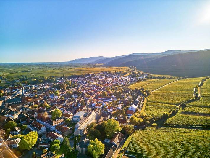 Hotel für 2 Personen, mit Terrasse und Garten sowie Pool und Sauna in Deidesheim - 3
