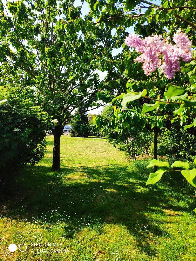 Chambre d’hôte pour 3 personnes, avec vue et terrasse ainsi que piscine et jardin dans le Pas-de-Calais - 2