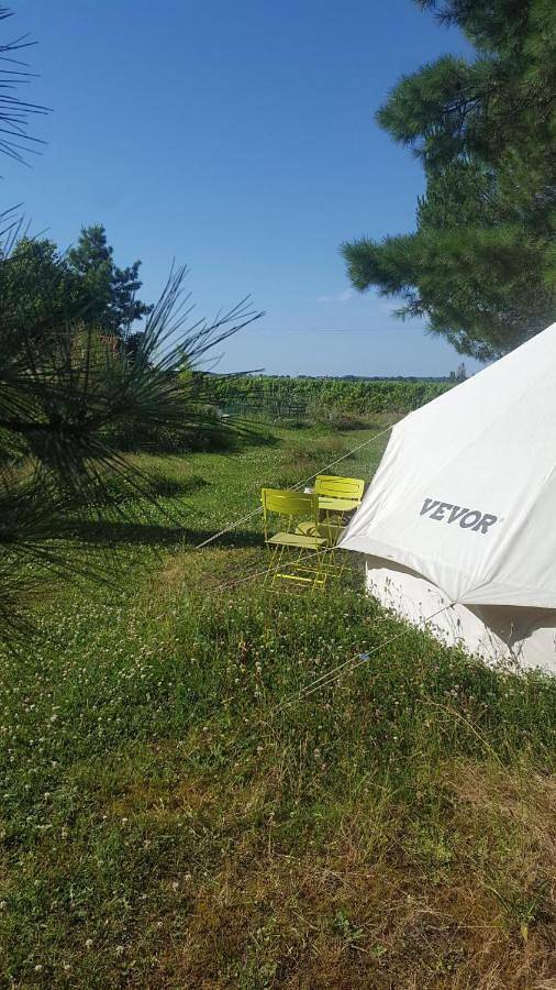 Location de vacances pour 7 personnes, avec vue et piscine ainsi que terrasse et jardin, animaux acceptés à Sainte-Foy-la-Longue - 2