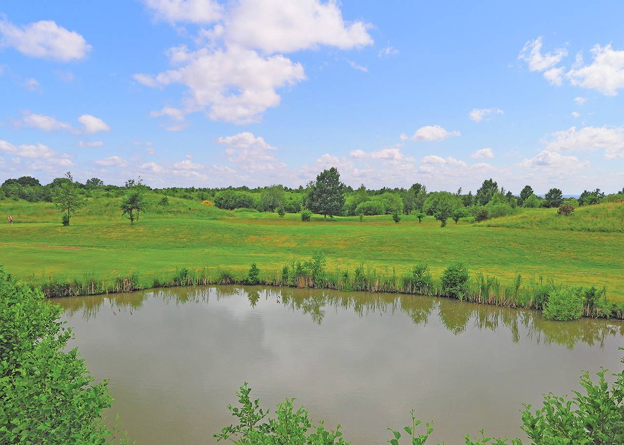 Kingswood in Hatfield (South Yorkshire), Yorkshire du Sud