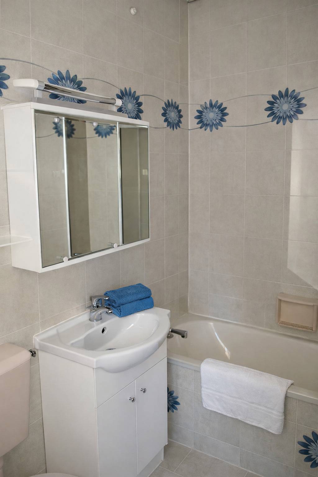 Ganze Ferienwohnung, Apartment Seegarten 56 m² in Seeboden, Bezirk Spittal an der Drau