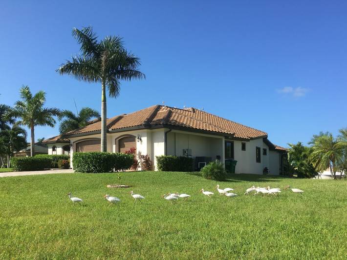 Villa Egretta in Cape Coral, Southwest Florida
