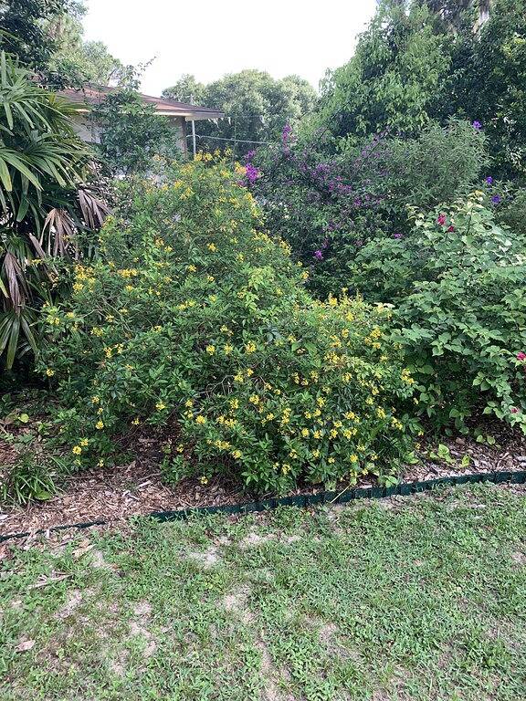Ferienhaus für 6 Personen, mit Garten und Terrasse - 1