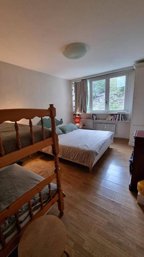 Gîte pour 6 personnes, avec balcon et vue dans Cinéma L'Aiguille - 2