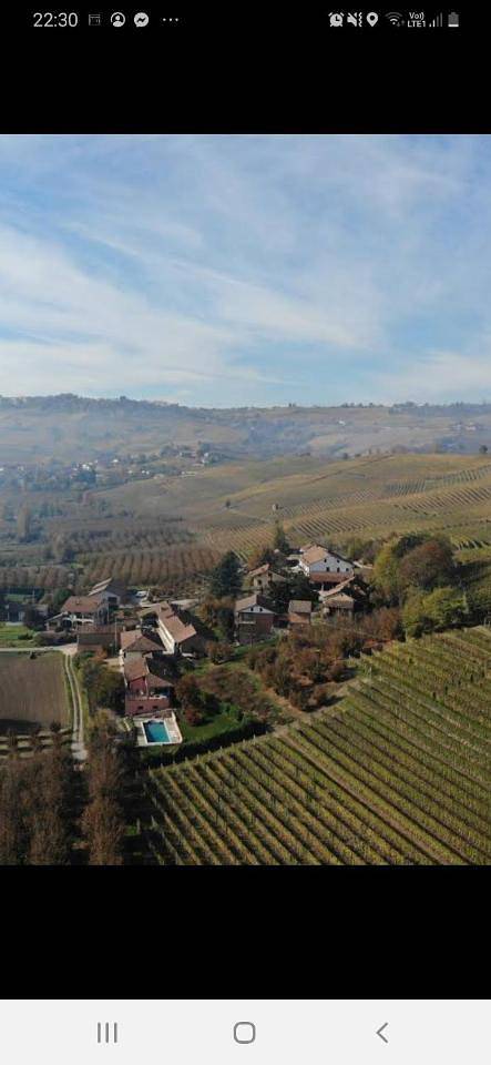 Villa con piscina e intera struttura a uso esclusivo casa del moré in La Morra, Langhe