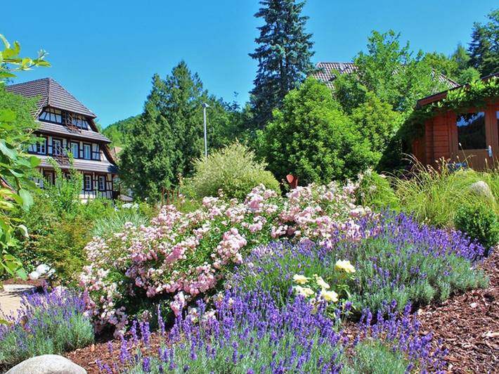 Ganze Ferienwohnung, Haus Glatz - Ferienwohnung Waldblick, 54qm, 2 Schlafzimmer, Balkon, max. 3 Personen in Seelbach, Mittlerer Schwarzwald