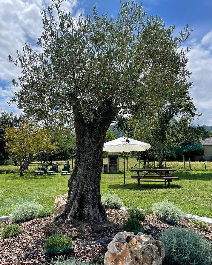 Casa rural para 4 personas, con jardín y vistas en Parres - 2