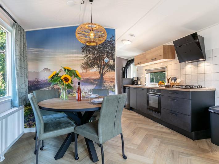 Schönes Chalet mit Wellness auf der Veluwe
 in Veluwe