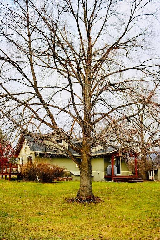 Ferienhaus für 6 Personen, mit Whirlpool und Garten, mit Haustier - 1