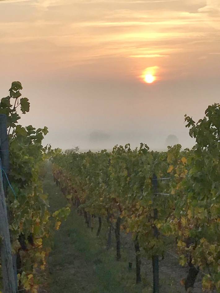 Gîte pour 2 personnes, avec vue et jardin à Le Hohwald - 2