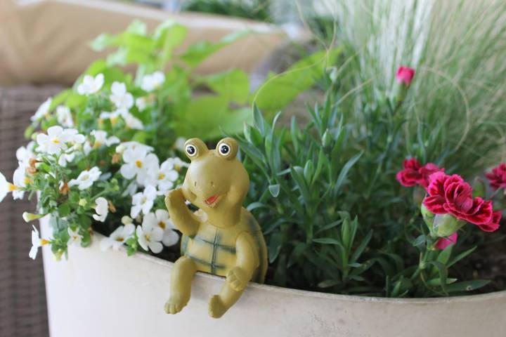 Chambre d’hôte pour 2 personnes, avec jardin et piscine en Corrèze - 3