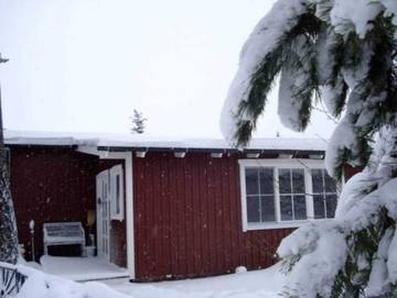 Ferienwohnung für 4 Personen, mit Terrasse und Garten, kinderfreundlich in Mönkebude