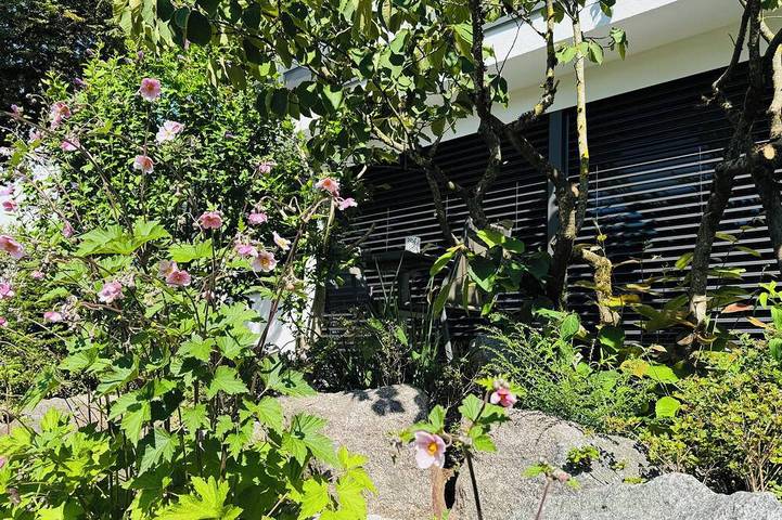 Ferienwohnung für 4 Personen, mit Terrasse und Garten in Spessart-Mainland