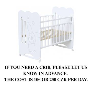 Apartment for 9 People in Prague, Central Bohemia, Photo 4