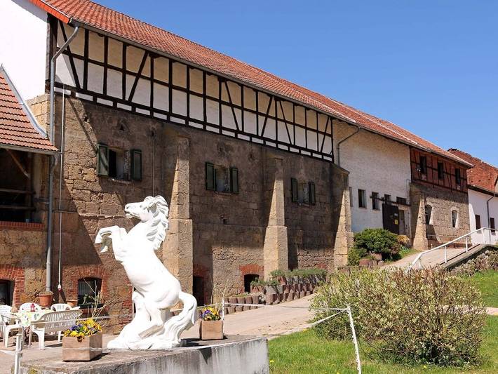 Bauernhof für 4 Personen, mit Garten und Terrasse, kinderfreundlich in Wartburg - 2