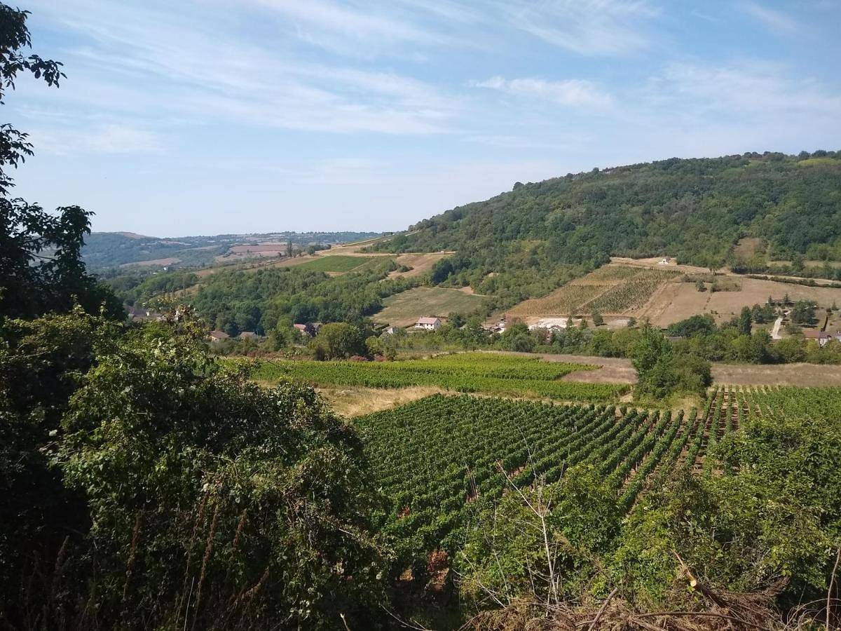 Appartement entier, Three-Bedroom Apartment in Nolay, Région de Beaune