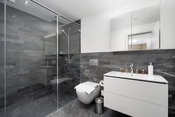 Apartament wakacyjny dla 4 osób, z Taras w Interlaken