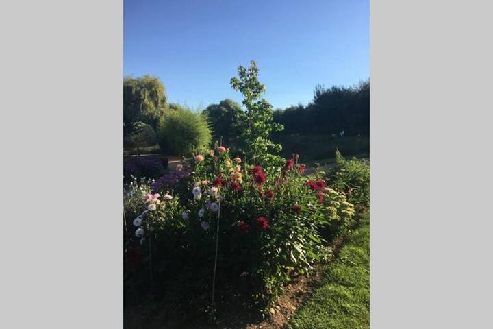 Gîte pour 4 personnes, avec jardin et piscine ainsi que balcon et jacuzzi dans Ernes - 4
