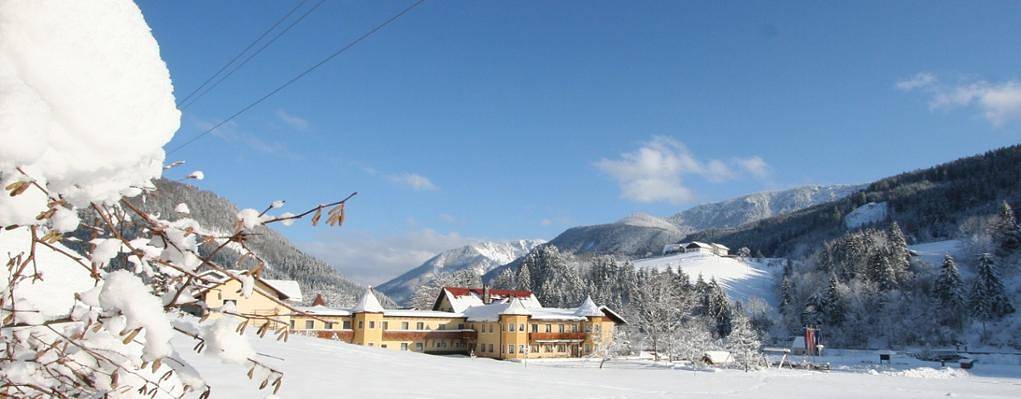 Hotel Waldesruh - Wohlfühlzimmer in Göstling an der Ybbs, Mostviertel Region