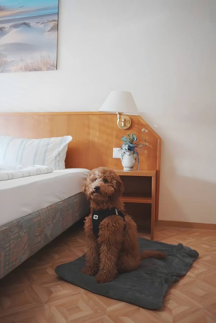 Ferienwohnung für 2 Personen, mit Haustier in Neßmersiel