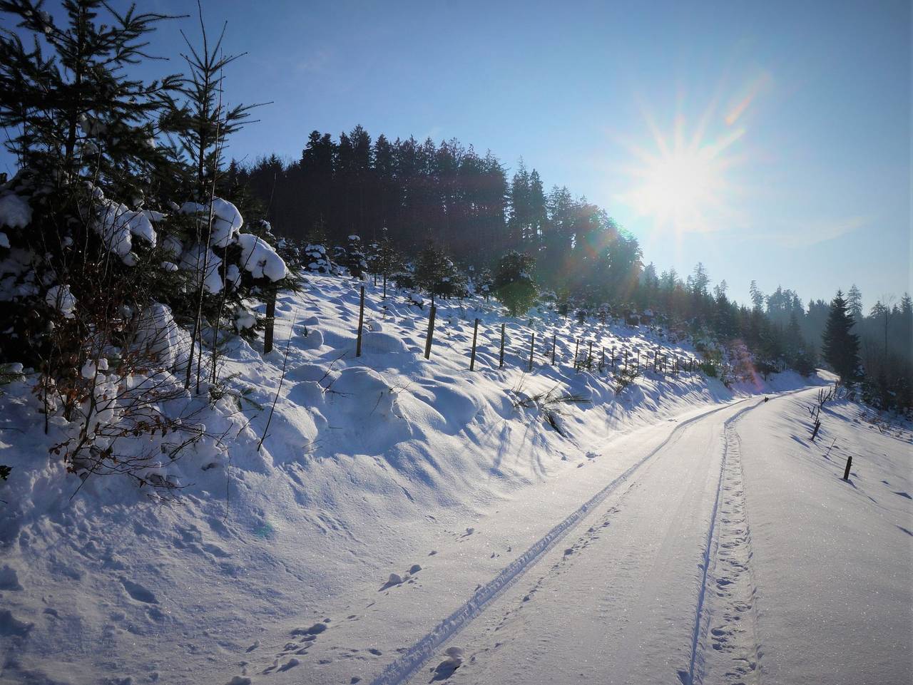 Ganze Ferienwohnung, Wellehof - Ferienwohnung Heidelbeere in Oberkirch, Mittlerer Schwarzwald