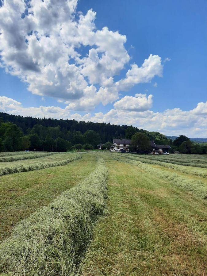Ferienwohnung für 5 Personen, mit Garten und Ausblick sowie Balkon in Miesbach - 3
