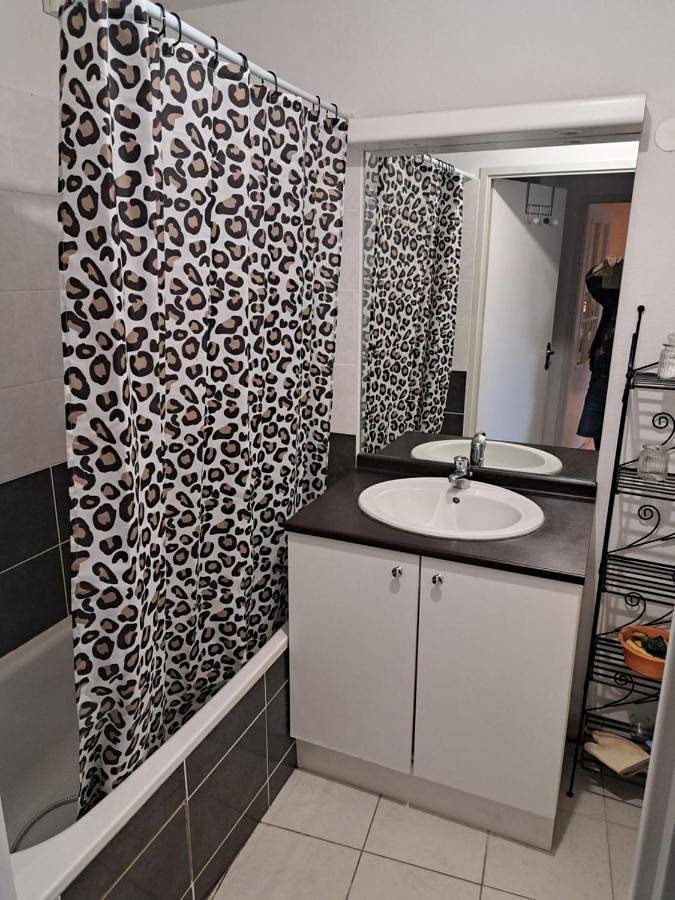 Gîte pour 3 personnes, avec balcon à Ramonville-Saint-Agne - 3