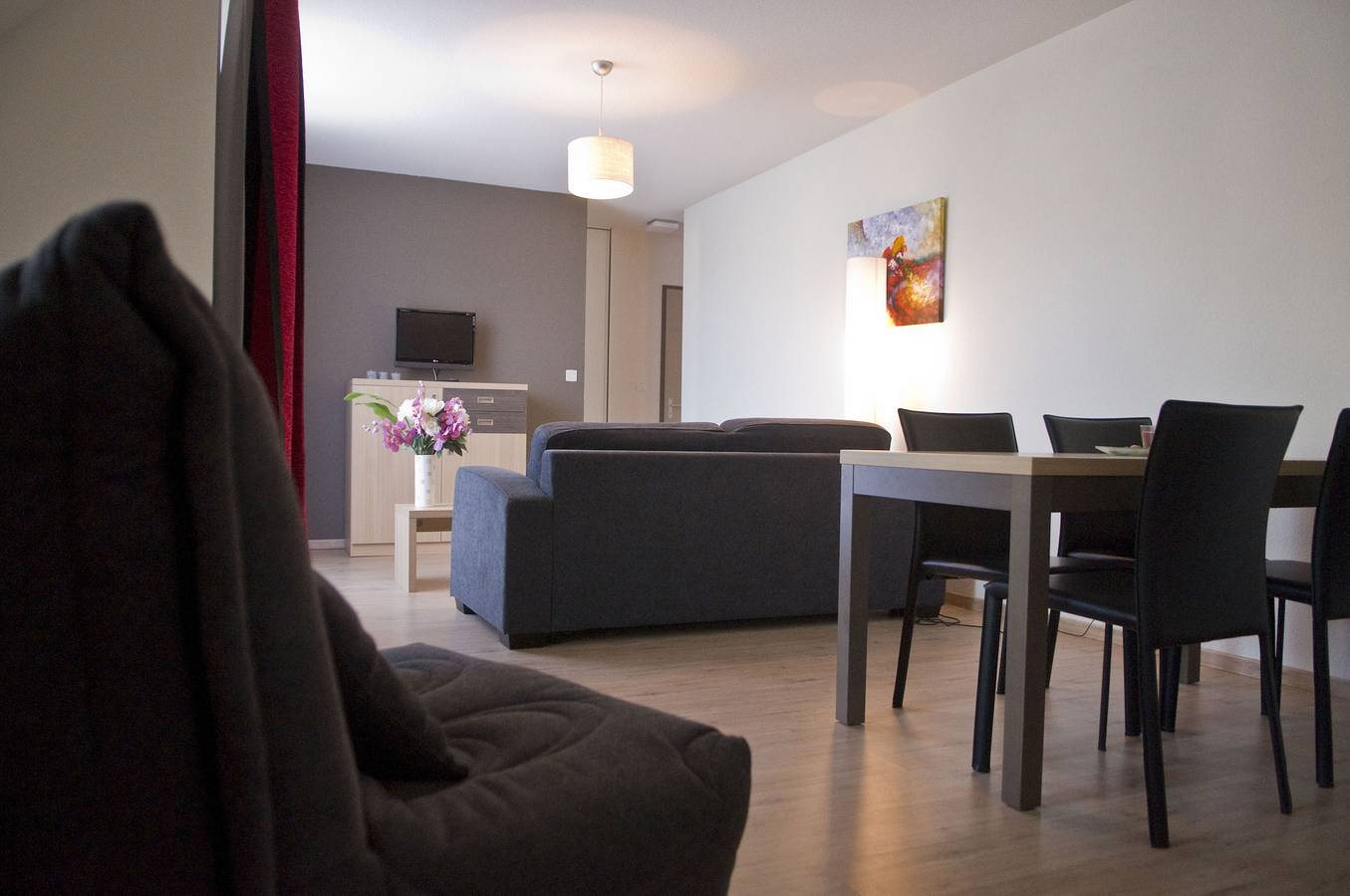 Appartement entier, Appartement de vacances pour 4 personnes avec sauna in Entraygues-sur-Truyère, Parc naturel régional de l'Aubrac