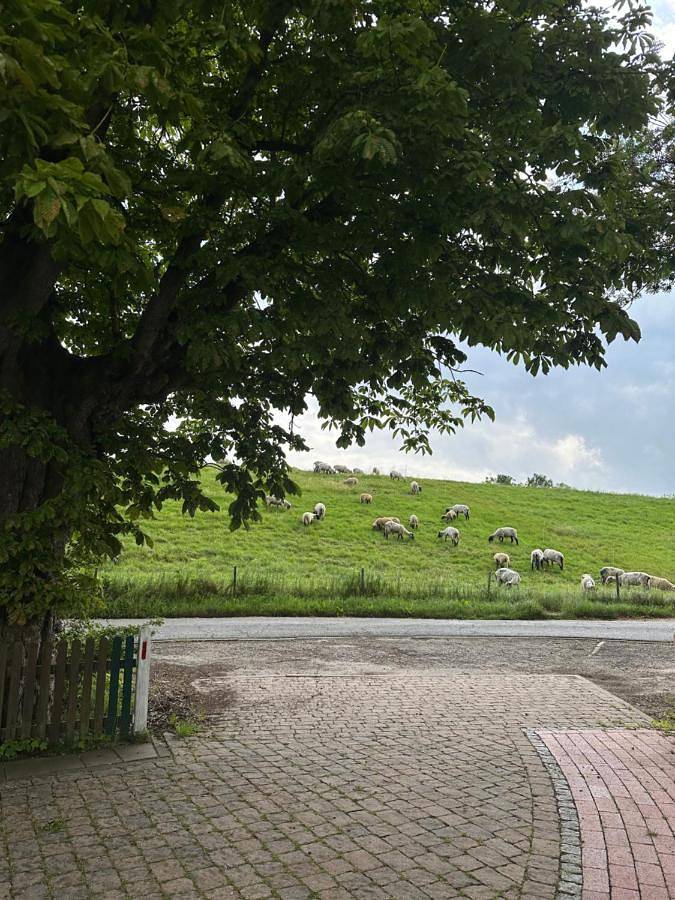 Ferienwohnung für 6 Personen, mit Garten und Sauna sowie Ausblick in Stade - 4