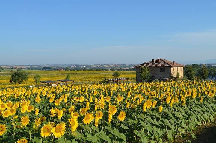 Holiday apartment for 6 people, with garden, with pets - 1