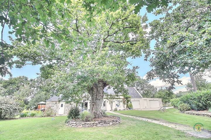 Gîte pour 4 personnes, avec terrasse ainsi que piscine et jardin, animaux acceptés à Theix - 2