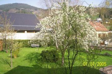 Hôtel pour 2 personnes, avec jardin et terrasse à Fréland