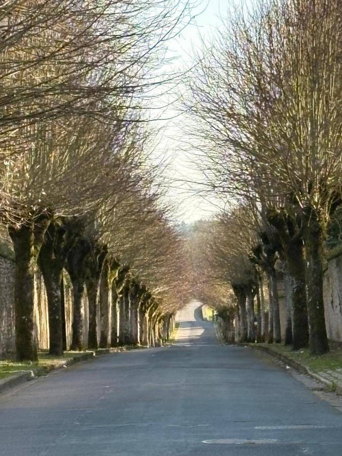 Location de vacances pour 7 personnes, avec jardin à Menars - 2