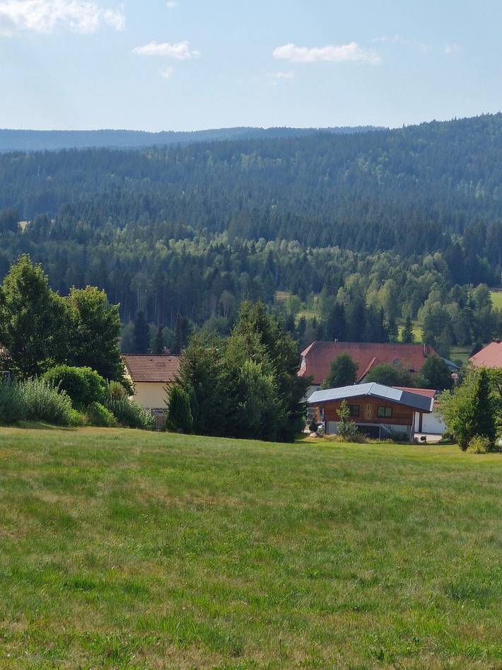Ferienwohnung für 2 Personen, mit Balkon/Terrasse und Balkon in Haidmühle - 3