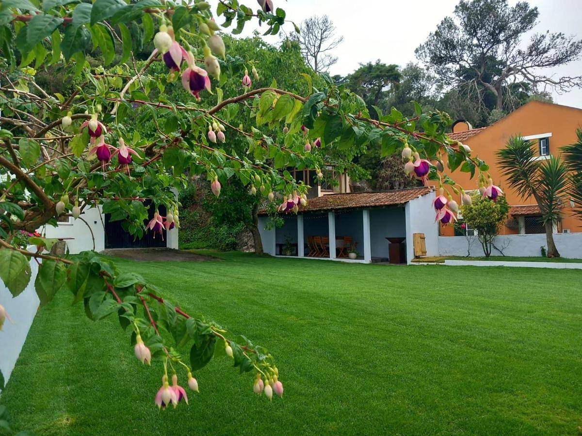 Three-Bedroom House in Sintra, Costa de Lisboa