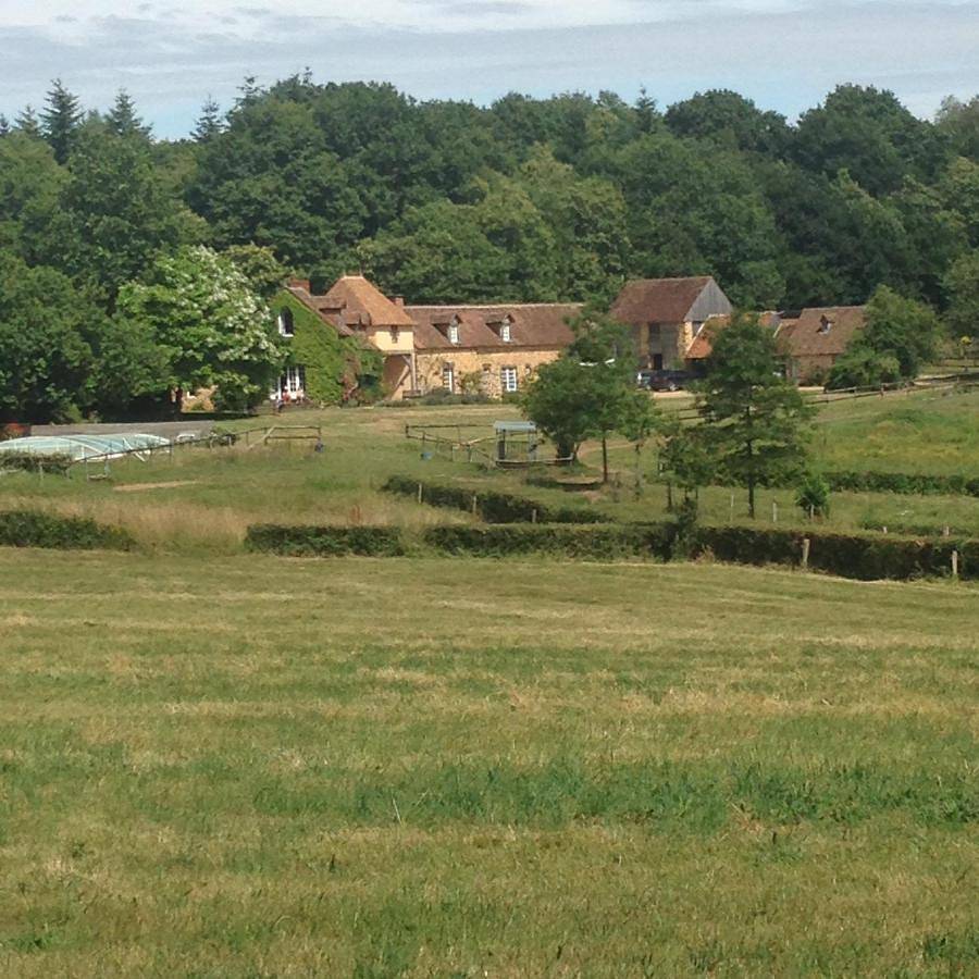 Two-Bedroom House in Domfront-en-Champagne, Sarthe