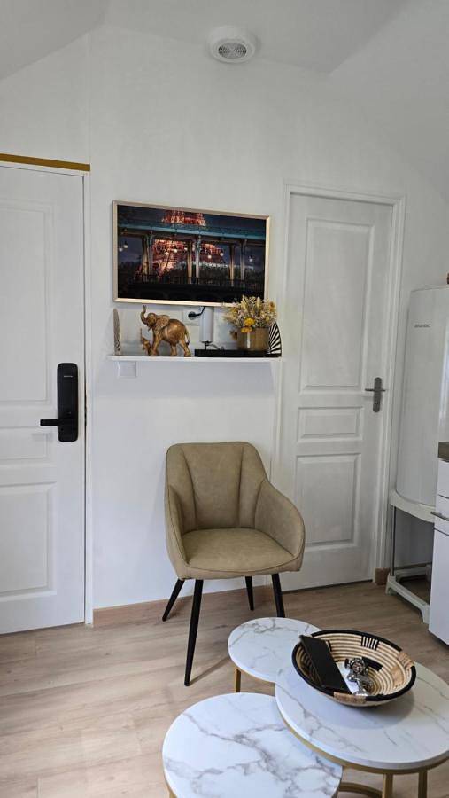 Gîte pour 3 personnes, avec jardin à Massy - 4