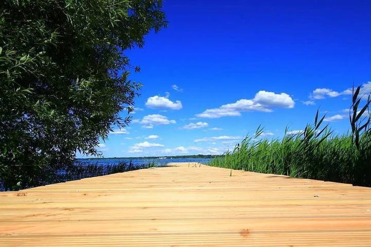 Einzelzimmer Standard - Flair Seehotel Zielow in Ludorf, Müritz