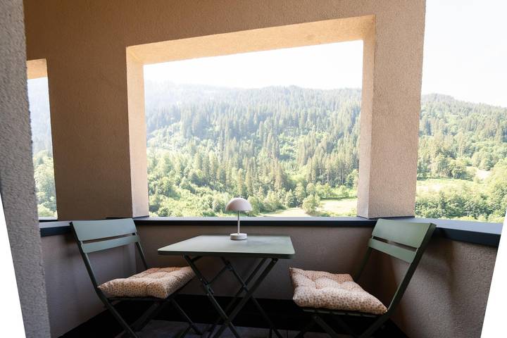 Ferienwohnung für 4 Personen, mit Terrasse und Ausblick, mit Haustier - 1