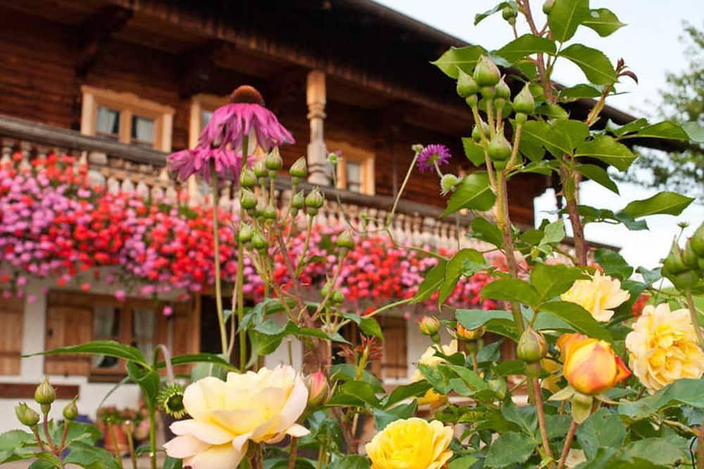 Entire apartment, Berghammers organic farm - Meisennest in Gmund, Bavarian Alps