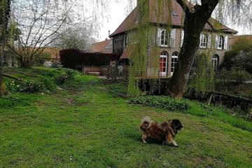 Gîte pour 13 personnes, avec terrasse et jardin, animaux acceptés à Renty