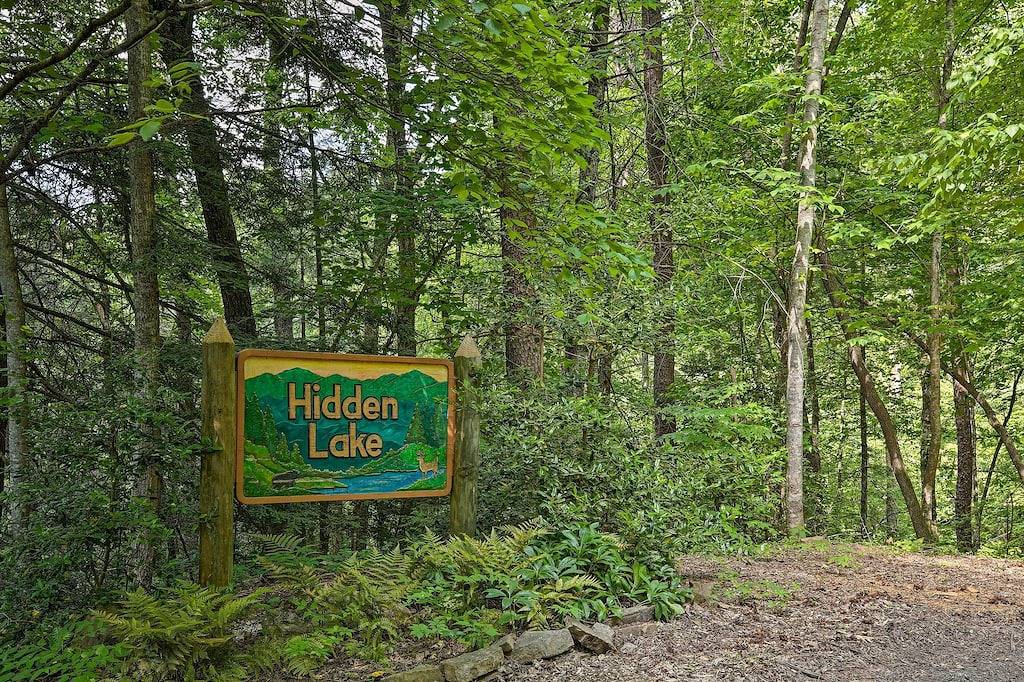 Neu! \"A Sunset Dream\" - Gehobene Blue Ridge Cabin! in Cherry Log, Chattahoochee National Forest
