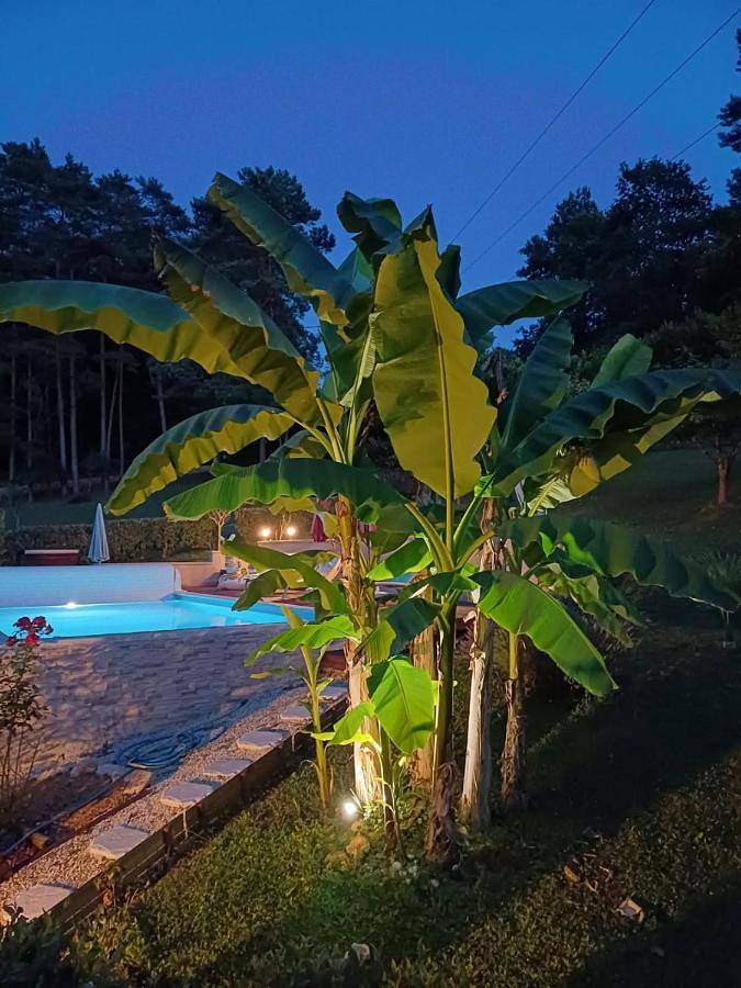 Maison de campagne pour 2 personnes, avec jardin et piscine ainsi que vue et terrasse - 1