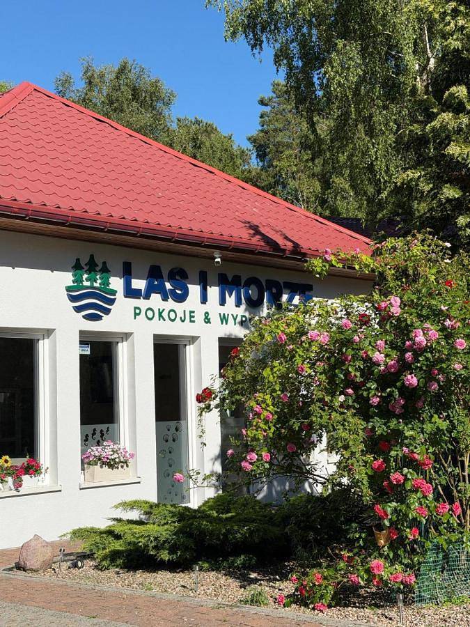 Las i Morze - Dźwirzyno in Dźwirzyno, Baltic Sea Pomerania