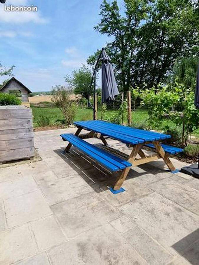 Location de vacances pour 21 personnes, avec piscine, animaux acceptés à Saint-Jean-de-Marsacq - 4