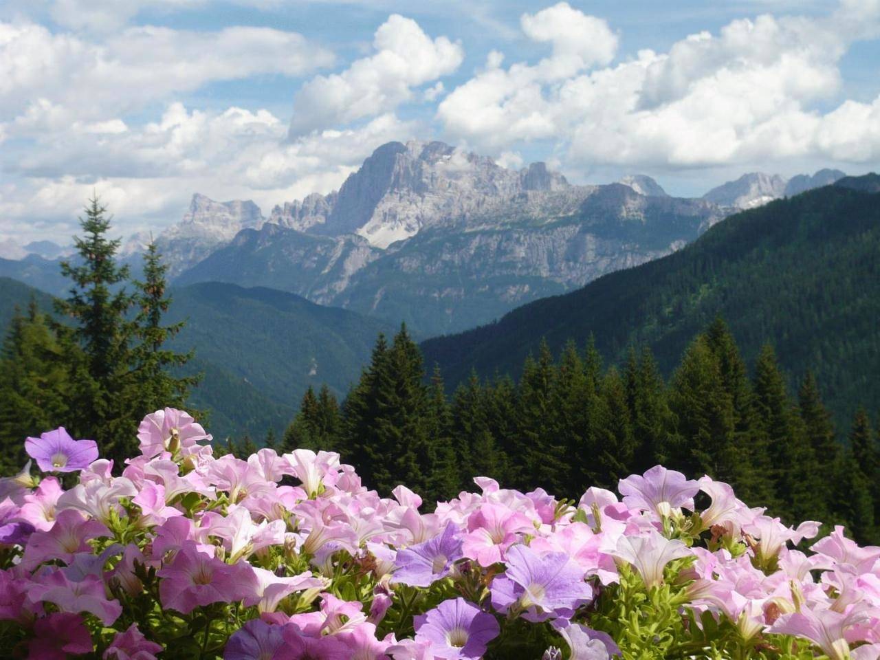 Residence Panorama in Falcade, Dolomiti Superski